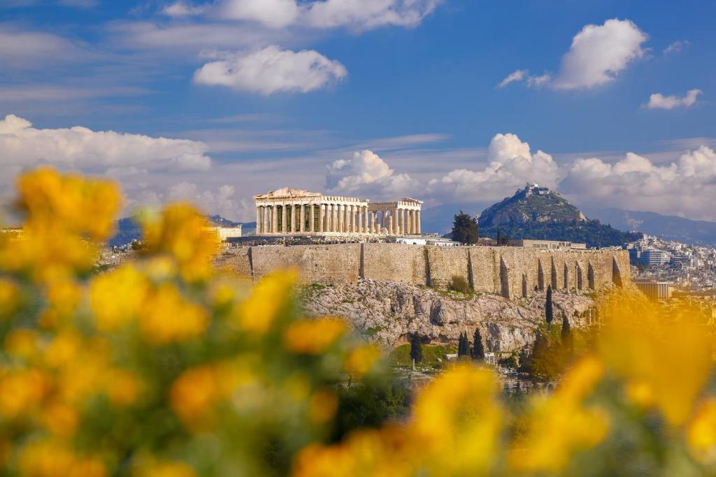 Divani Palace Acropolis - image 6