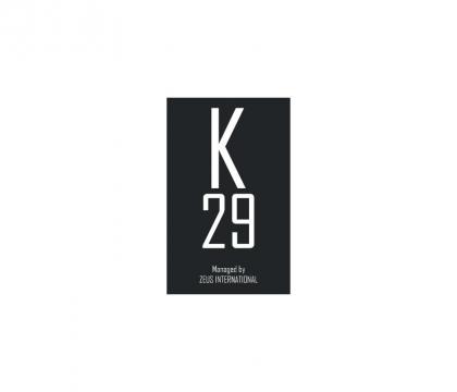 K29 - image 2