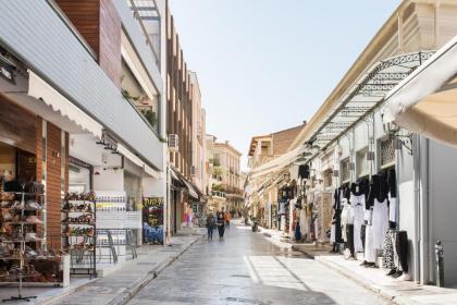 Plaka's Hyatt - image 27