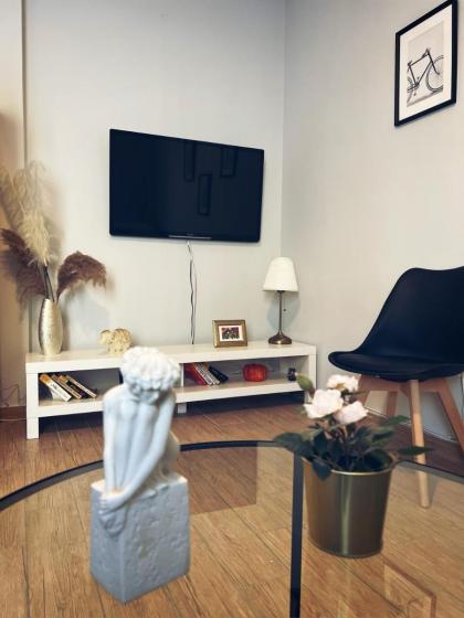 Athens Loft in Pagrati - image 21