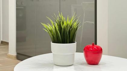 Brand New Studio with Amazing View - image 23